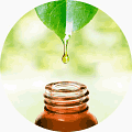 Kosmetické oleje jsou čistě přírodní a za studena lisované. Marocký arganový olej zvaný marocké zlato. Organický hroznový olej je bohatý na vitamíny D, C a E. Mexický jojobový olej je zcela bez zápachu. Konopný olej je lisován ze semen konopí a proto neobsahuje THC, ale má vysoký obsah omega-6 a omega-3 kyselin. Rakytníkový olej je lisován z rakytníku úzkolistého, který je sklízen z hornatých oblastí Asie. Šípkový olej s vitamínem A, E a C proniká opravdu do těch nejhlubších vrstev pokožky.